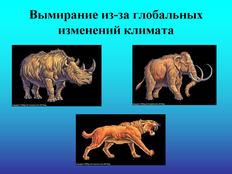 Вымирание из-за глобальных изменений климата